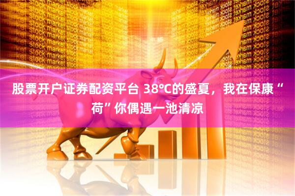 股票开户证券配资平台 38℃的盛夏,我在保康“荷”你偶遇一池清凉